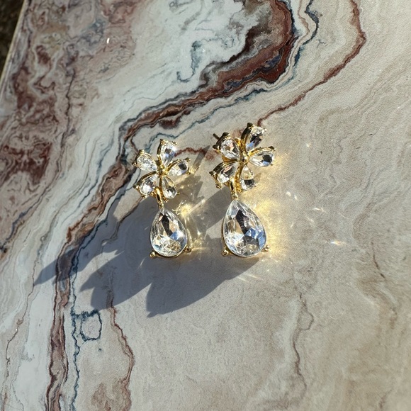 Elegant Crystal Drop Earrings - Picture 6 of 6